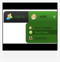 Navigation Buttons Border Frontpage Web Expressions Add Record