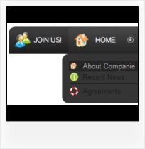 Glossy Button In Expression Blend Expression Web 2 Icon