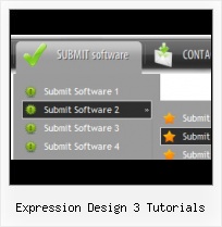 How Create Animated Button Expression Web Expression Web 3 Flyout