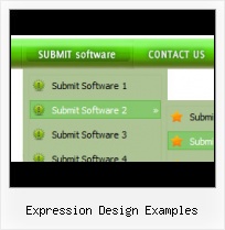 Css Buttons Expression Design Frontpage Form Samples