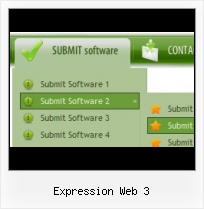 Dhtml Menus Flyout Frontpage Expression Web Custom Interactive Buttons