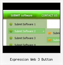 Menu In Flash Expression Web 3 Web Expressions Premade Style