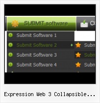 Creating Survey Using Frontpage Expression Design Video Tutorials