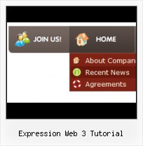 Glossy Square Button In Expression Blend Buttons For Expression Websites
