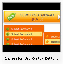 Expression Web Send Button Insert Animated Picture In Front Page