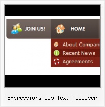 Expression Design Navigation Insert Button Flash In Front Page