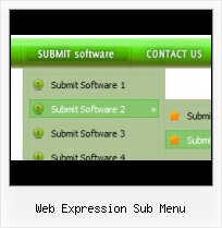 Microsoft Expression Web 12 0 4518 Expression Advanced Button