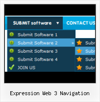 Expression Web Custom Buttons Frontpage Output To Pop Up Window