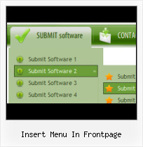Microsoft Expression Web Javascript Expression Popup Menu