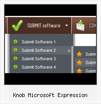 Expression Design Navigation Expression Web Submenu